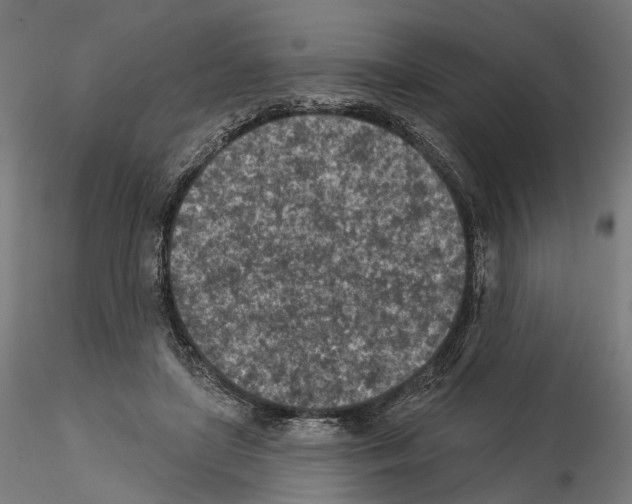 X0000114690451200912021049