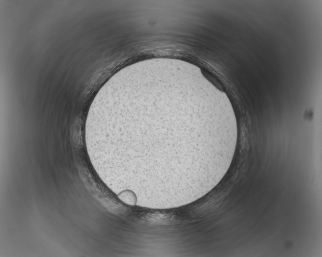 X0000114690453200912021049