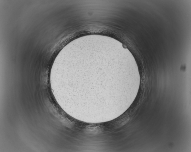 X0000114690454200912021049