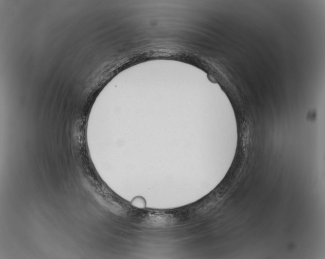 X0000114690455200912021049