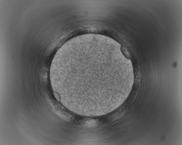 X0000114690456200912021049