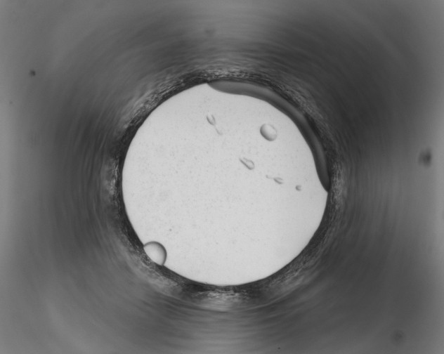 X0000114690458200912021049
