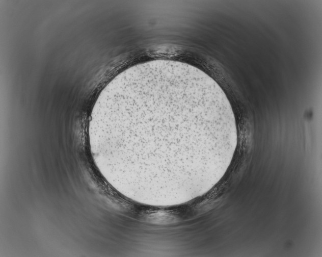 X0000114690460200912021049