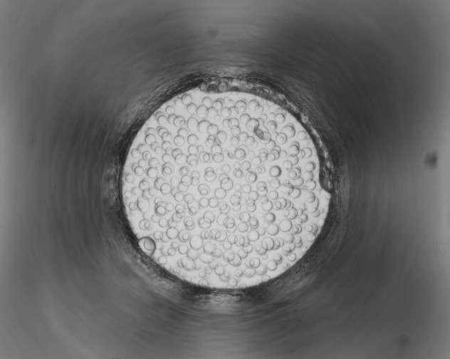 X0000114690462200912021049