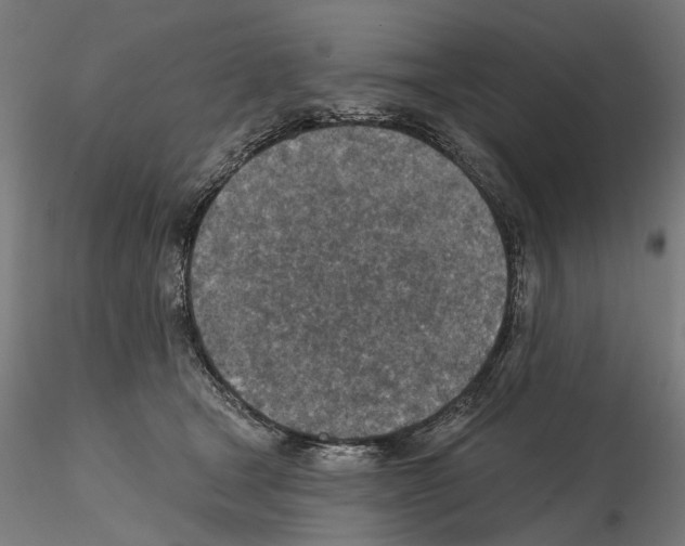 X0000114690465200912021049