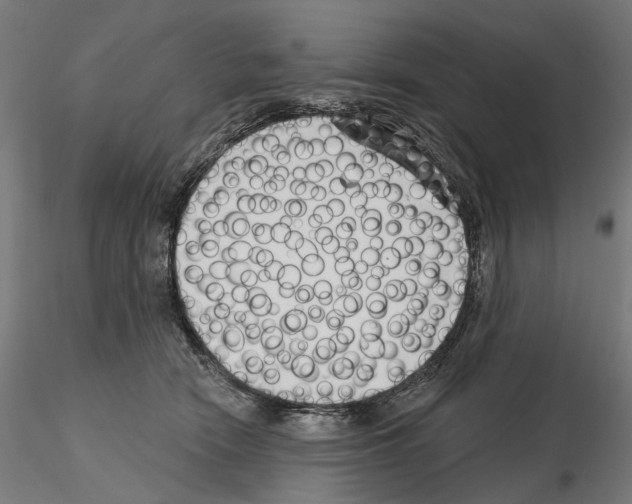 X0000114690466200912021049