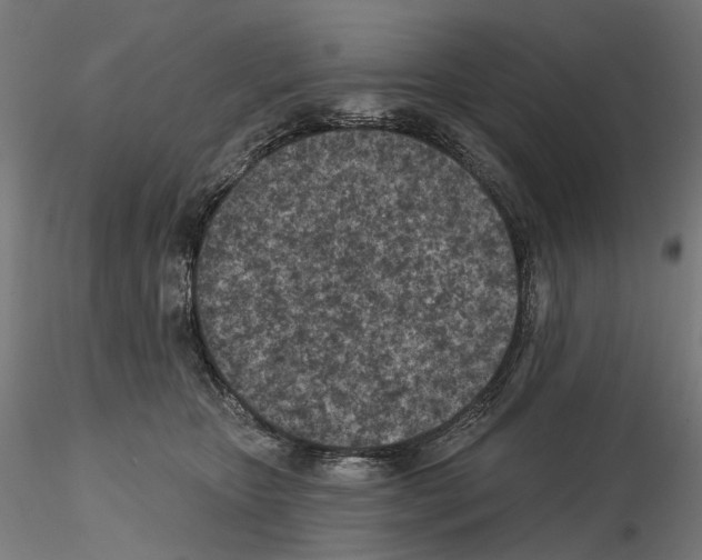 X0000114690467200912021049