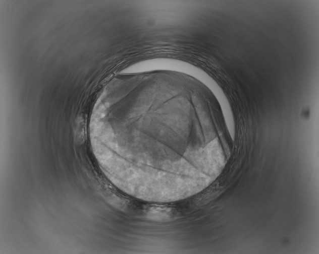 X0000114690471200912021049