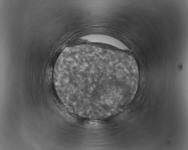 X0000114690475200912021049