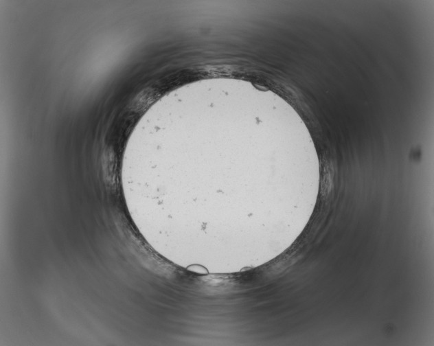 X0000114690477200912021049