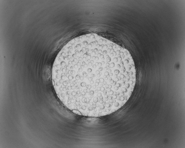X0000114690478200912021050