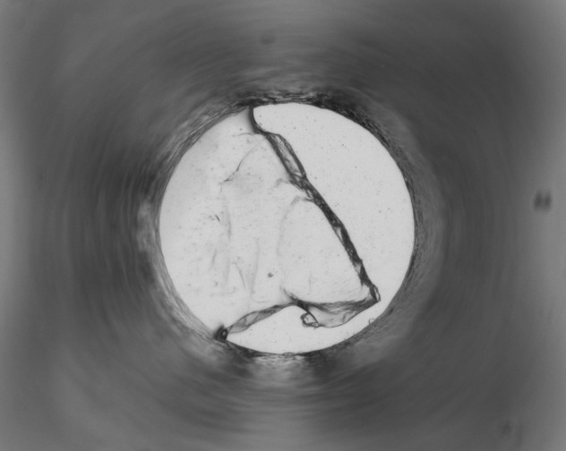 X0000114690480200912021050