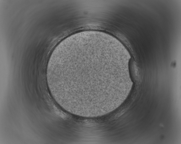 X0000114690481200912021049