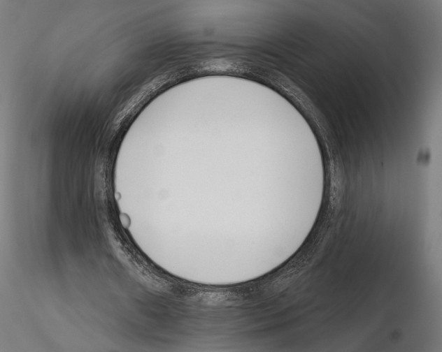 X0000114690482200912021049