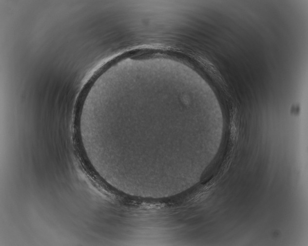 X0000114690484200912021049