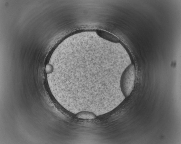 X0000114690485200912021049