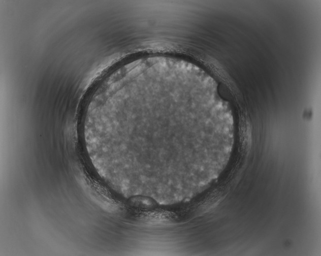 X0000114690488200912021049
