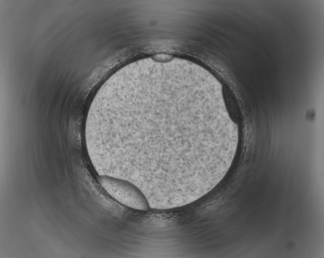 X0000114690489200912021049