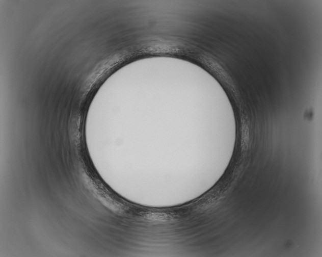 X0000114690490200912021049