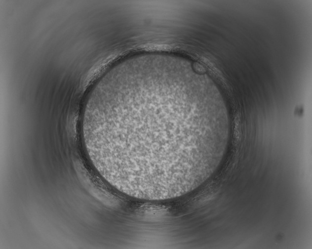 X0000114690491200912021049