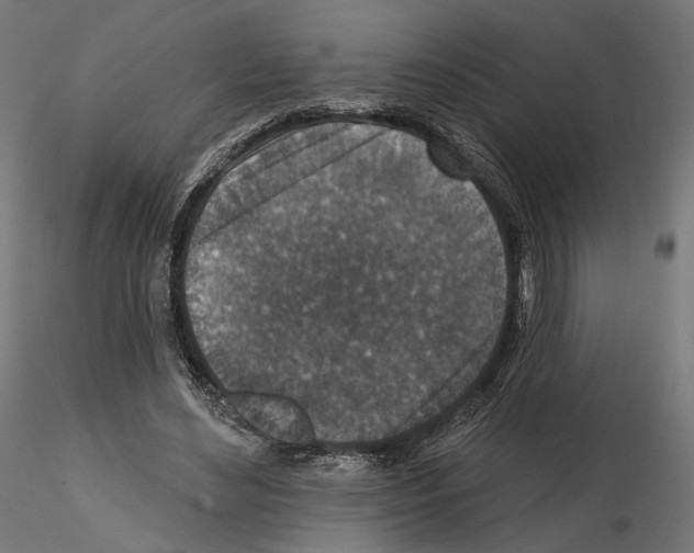 X0000114690492200912021049