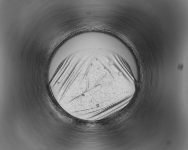 X0000114690493200912021049