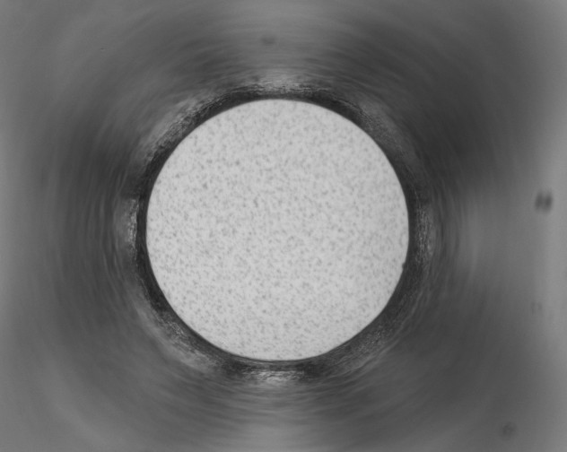 X0000114690495200912021049