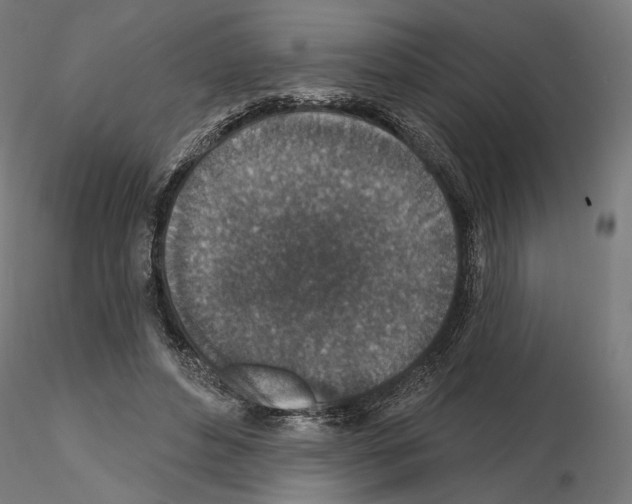 X0000114690496200912021048