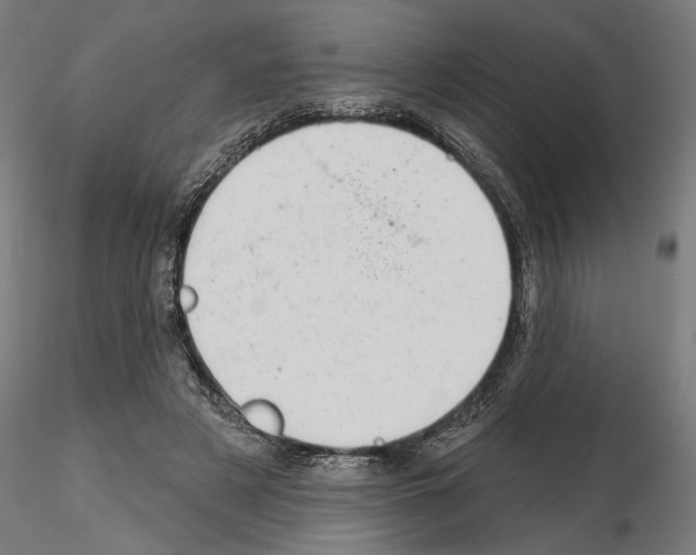 X0000114690497200912021048