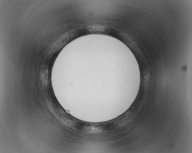 X0000114690498200912021048