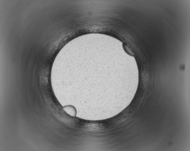 X0000114690499200912021048