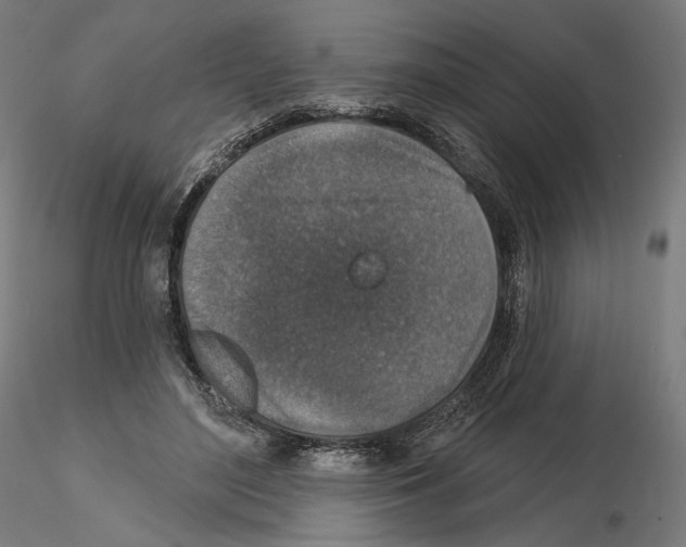 X0000114690500200912021048