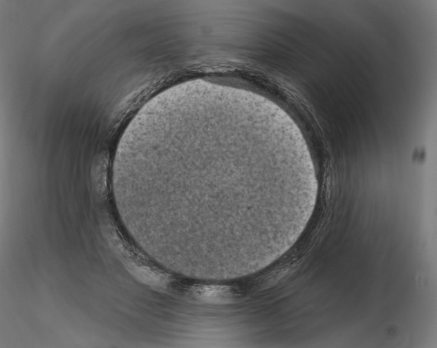 X0000114690501200912021048
