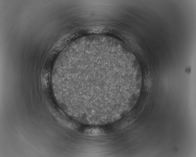 X0000114690503200912021048