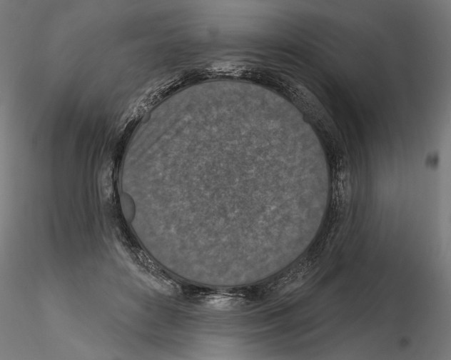 X0000114690504200912021048