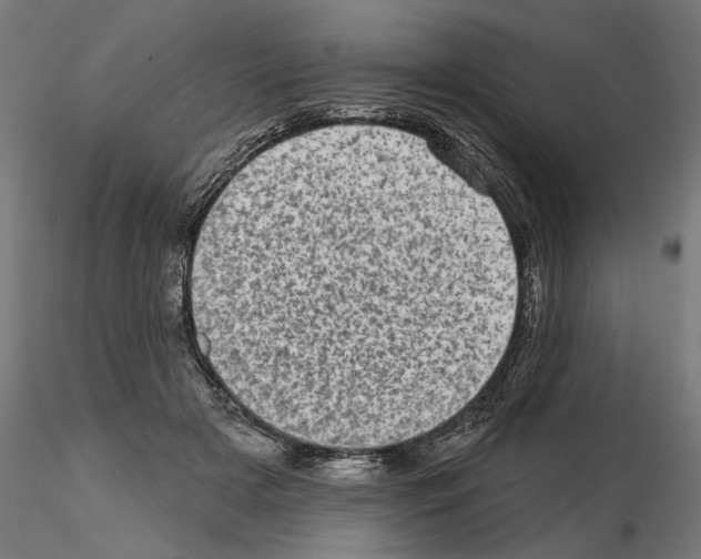 X0000114690505200912021048