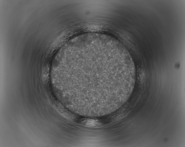 X0000114690507200912021048