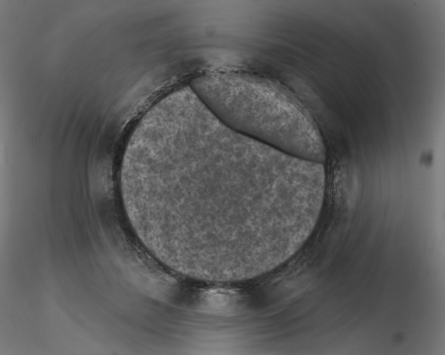 X0000114690508200912021048