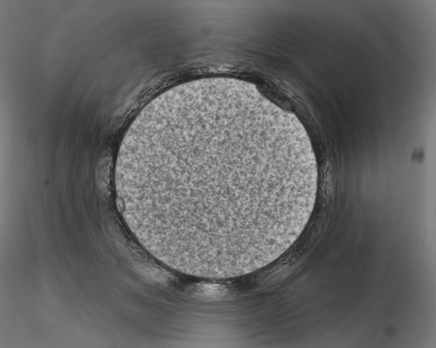X0000114690509200912021048