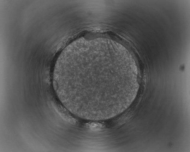 X0000114690512200912021048
