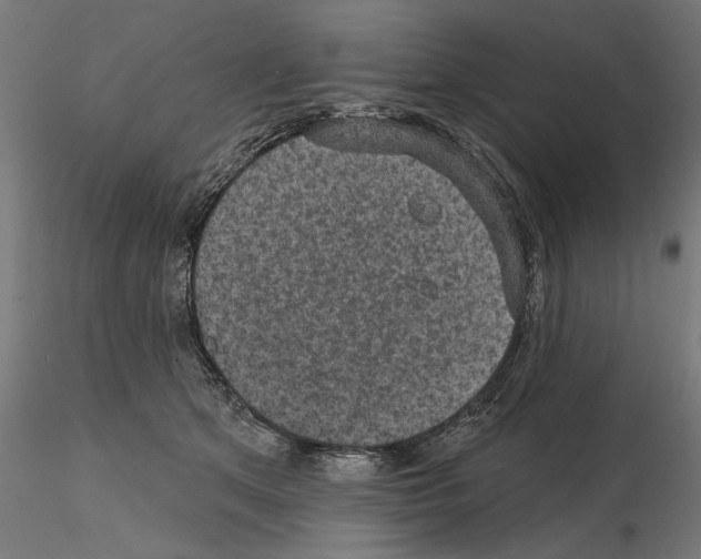 X0000114690513200912021048