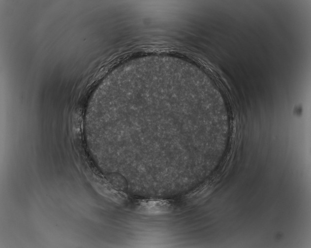 X0000114690517200912021048