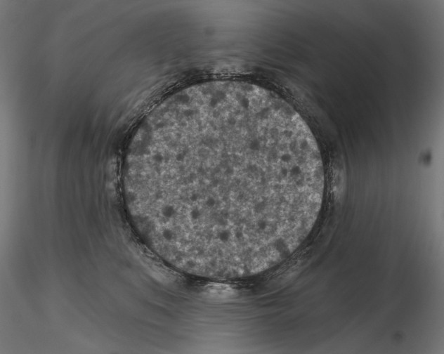 X0000114690519200912021048