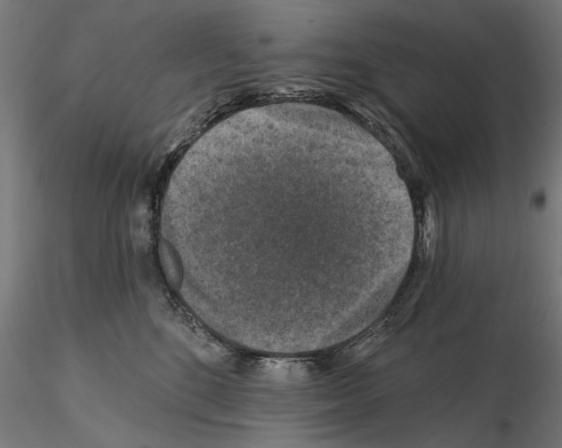 X0000114690520200912021048