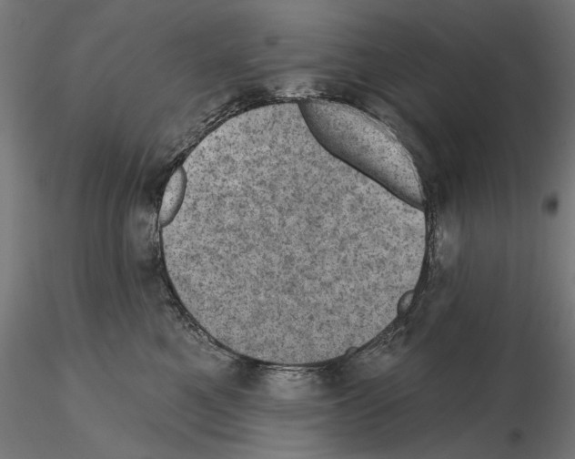 X0000114690521200912021048