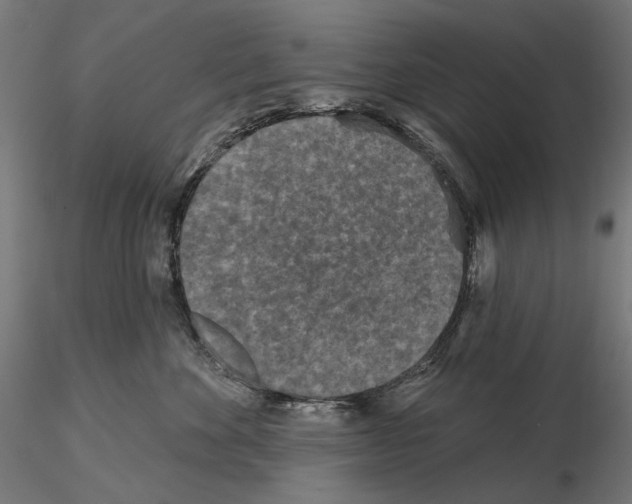 X0000114690524200912021048