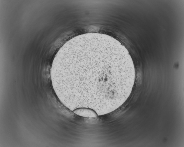 X0000114690525200912021048
