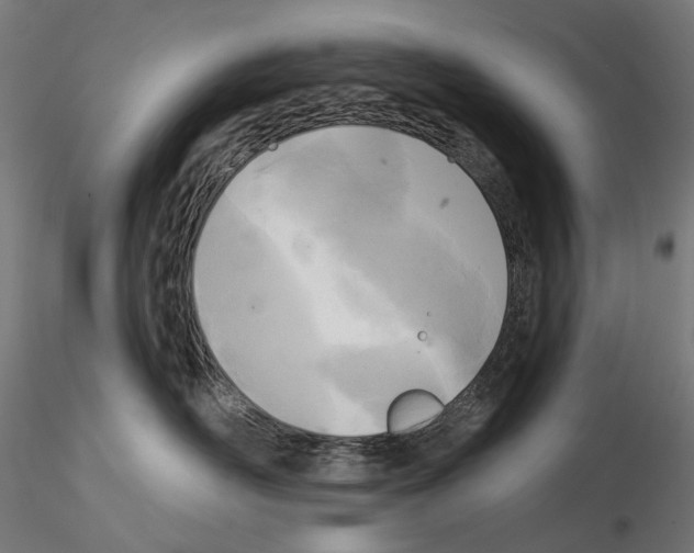X0000114690526200912021048