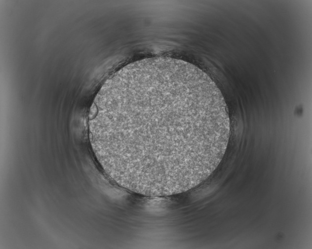 X0000114690527200912021048