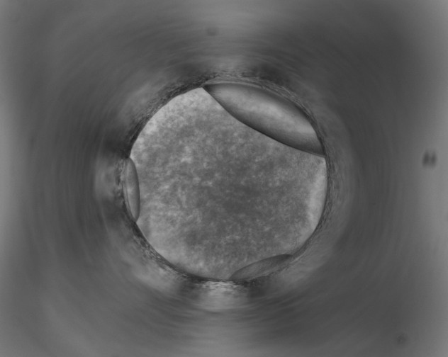 X0000114690528200912021048